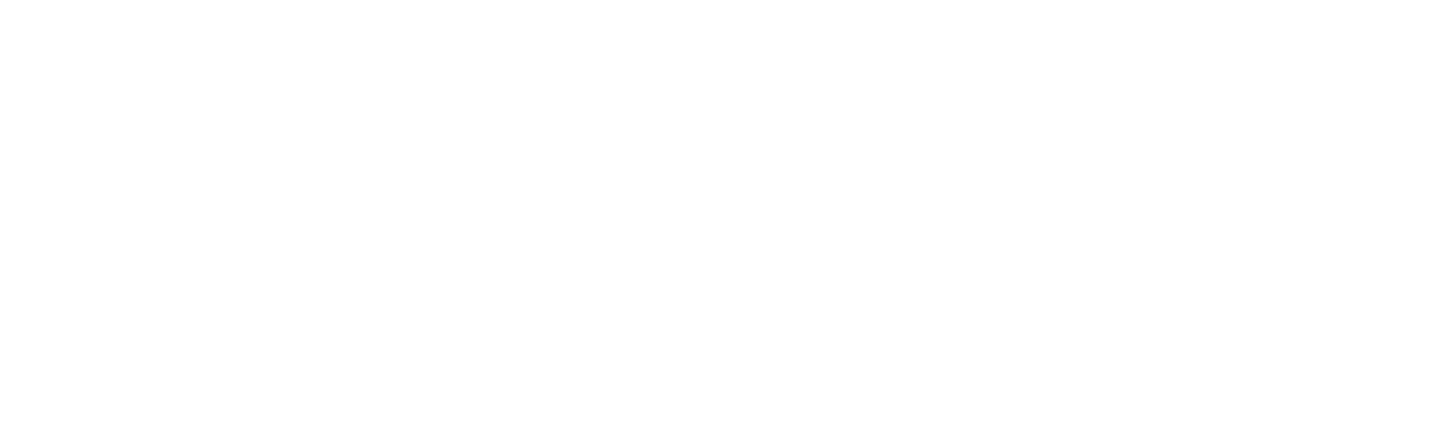 Acelerador del Talento Directivo